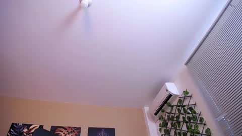 Christopher Black online show from 12/17/25, 01:06