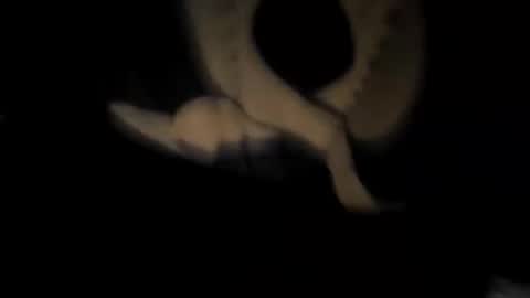 chuck7891 online show from 11/30/25, 12:47