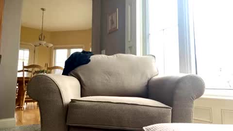 cinapw online show from 12/21/24, 03:53