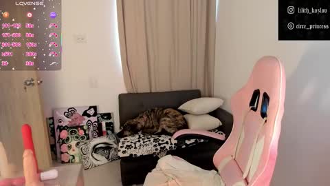 Snapshot of circe_l chatting on 11/06/25, 09:37 Paulina online show from 11/06/25, 09:37