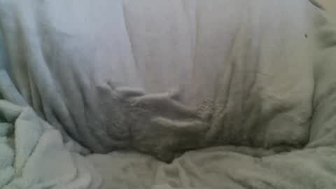 circumsizedbandit online show from 02/10/25, 11:34