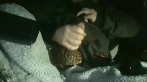 cisalo2501 online show from 02/07/26, 06:50