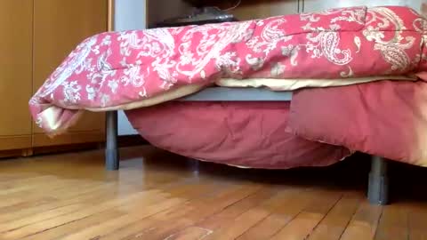 claudi779 online show from 12/29/24, 03:24