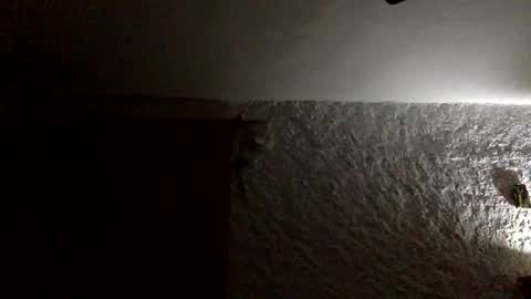 claudi779 online show from 01/11/26, 08:03