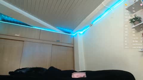 clermontt online show from 02/14/26, 10:45