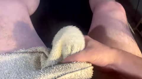 Clover online show from 11/26/25, 04:30