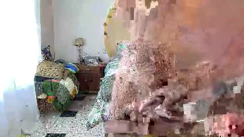 cmapetitebite online show from 02/07/26, 12:09