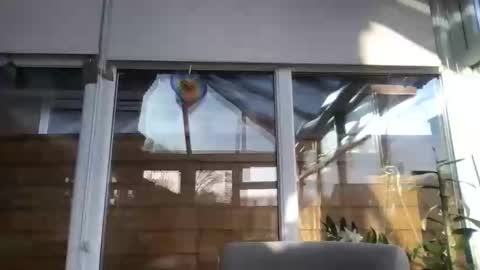 Mario online show from 02/28/25, 09:15