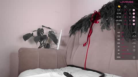 Herman online show from 12/08/24, 02:18