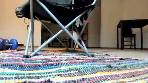 Snapshot of cocknholestar chatting on 01/03/25, 04:22 Gorgeous online show from 01/03/25, 04:22