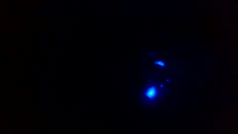 cocksmithog online show from 12/13/24, 05:43