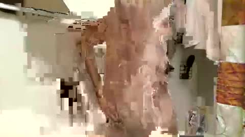 coco3402 online show from 10/31/25, 03:35