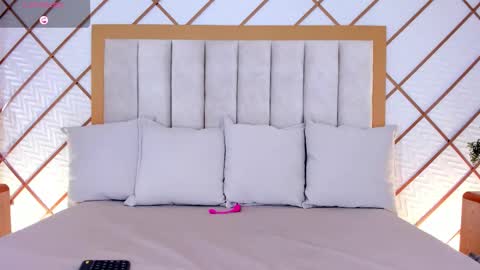    online show from 03/11/26, 11:38