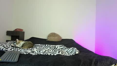 Snapshot of coddy_fit chatting on 11/16/25, 01:49 cody online show from 11/16/25, 01:49