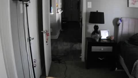 TheGoddessCodie online show from 12/12/24, 03:05