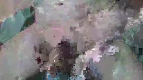 cogela_sin_miedo online show from 10/06/25, 11:46