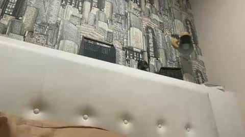 colambus555 online show from 12/21/25, 07:04