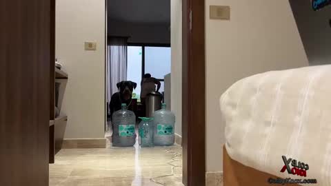 colbyknox online show from 09/20/25, 11:06