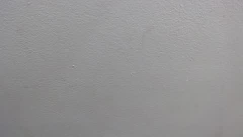 Snapshot of colombia_mommy_ chatting on 01/16/25, 12:31 GRETCHEN online show from 01/16/25, 12:31