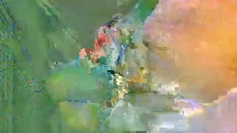 colourlight online show from 11/24/25, 12:10