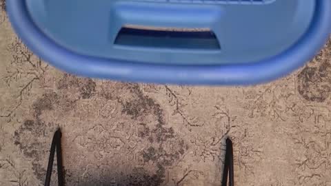 Jhoan online show from 02/23/26, 12:09