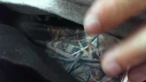 Snapshot of comox1961 chatting on 03/06/25, 08:30 comox online show from 03/06/25, 08:30