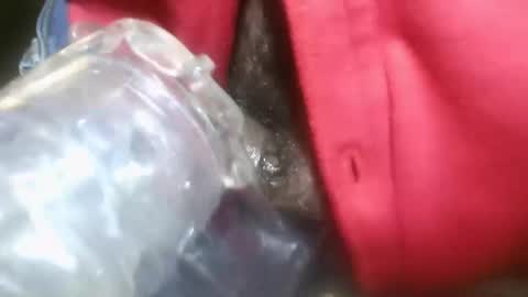 bearded hairy pits big brown cock online show from 01/13/25, 10:45