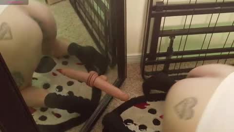 controllercutie online show from 03/20/26, 11:09