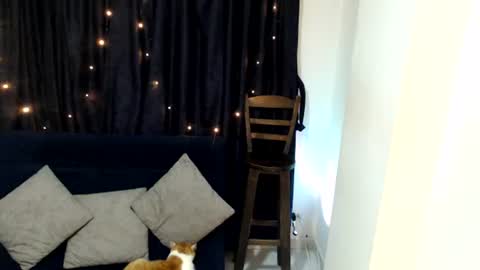 Sofi online show from 06/10/26, 03:07