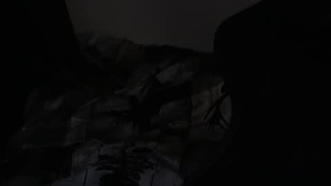 cooley77701 online show from 02/24/26, 09:18