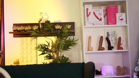 Snapshot of coolteacher chatting on 01/12/25, 11:17 Ginger The Cringer online show from 01/12/25, 11:17
