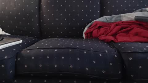 copper_crotch online show from 11/10/25, 12:09