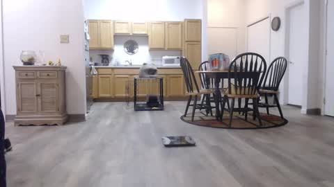 Snapshot of copper_crotch chatting on 01/11/26, 01:43 copper_crotch online show from 01/11/26, 01:43