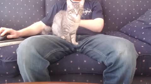 Snapshot of copper_crotch chatting on 02/14/26, 10:28 copper_crotch online show from 02/14/26, 10:28