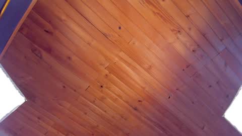 Coraline online show from 01/24/25, 01:45