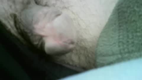 core-i007 online show from 04/14/26, 05:08