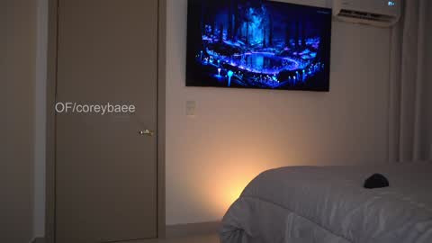 Snapshot of coreybae chatting on 01/11/25, 11:46 coreybae online show from 01/11/25, 11:46