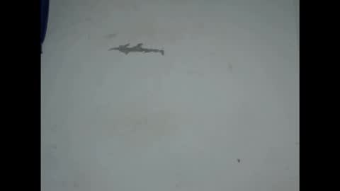 cornxcunt online show from 02/18/26, 09:44