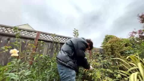 Snapshot of coronelking chatting on 09/28/25, 10:26 coronelking online show from 09/28/25, 10:26