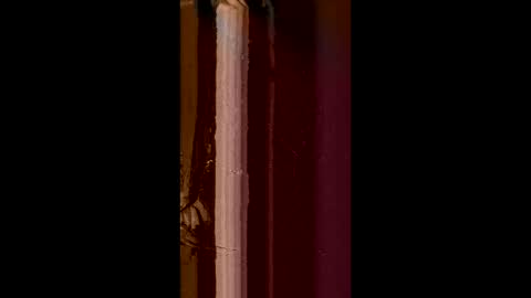 Corrado online show from 02/08/25, 08:52