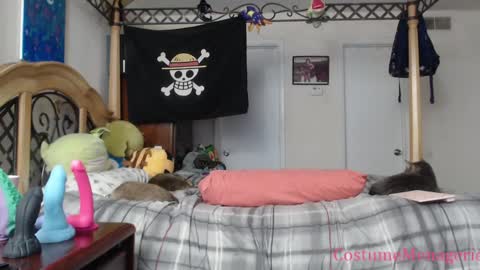 Snapshot of costumemenagerie chatting on 01/26/25, 02:45 Amethyst Cox online show from 01/26/25, 02:45