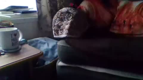 courieral1 online show from 02/15/25, 08:00