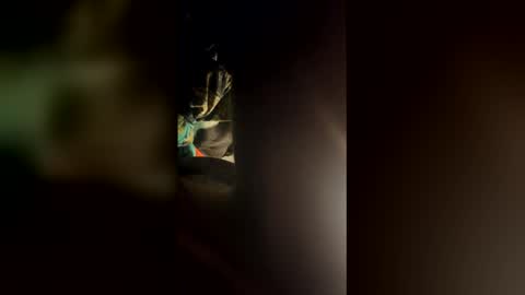 cowboy277228 online show from 03/24/26, 07:24