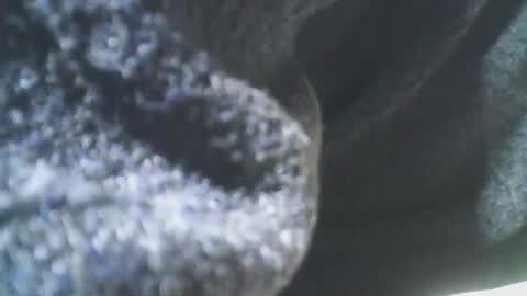 Snapshot of cplmature87 chatting on 02/20/25, 11:10 cplmature87 online show from 02/20/25, 11:10