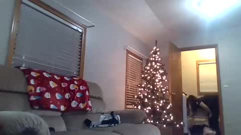 craveitoften online show from 12/26/24, 01:40