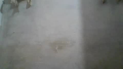 Snapshot of crazzy_booy chatting on 06/11/26, 04:32 crazzy_booy online show from 06/11/26, 04:32