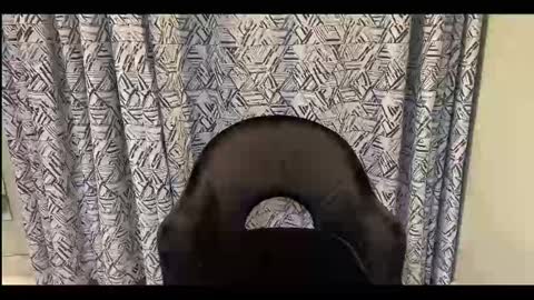 Snapshot of creamonmycakes chatting on 09/12/25, 10:04 CreamOnMyCakes online show from 09/12/25, 10:04