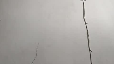 CreamyCocoBabe online show from 04/29/26, 08:04