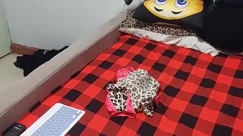 creamyhub online show from 12/01/25, 07:02