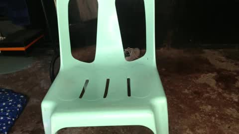 Jay online show from 02/21/25, 01:33